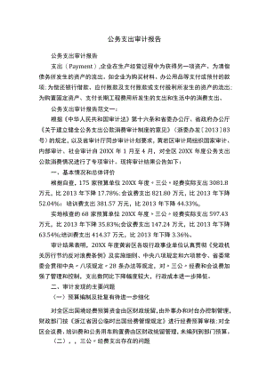 公务支出审计报告.docx