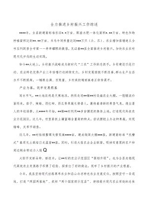 全力推进乡村振兴工作综述.docx