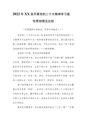 2022年XX县学习宣传贯彻情况总结.docx
