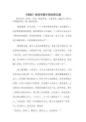 《领航》电视专题片观后感五篇.docx
