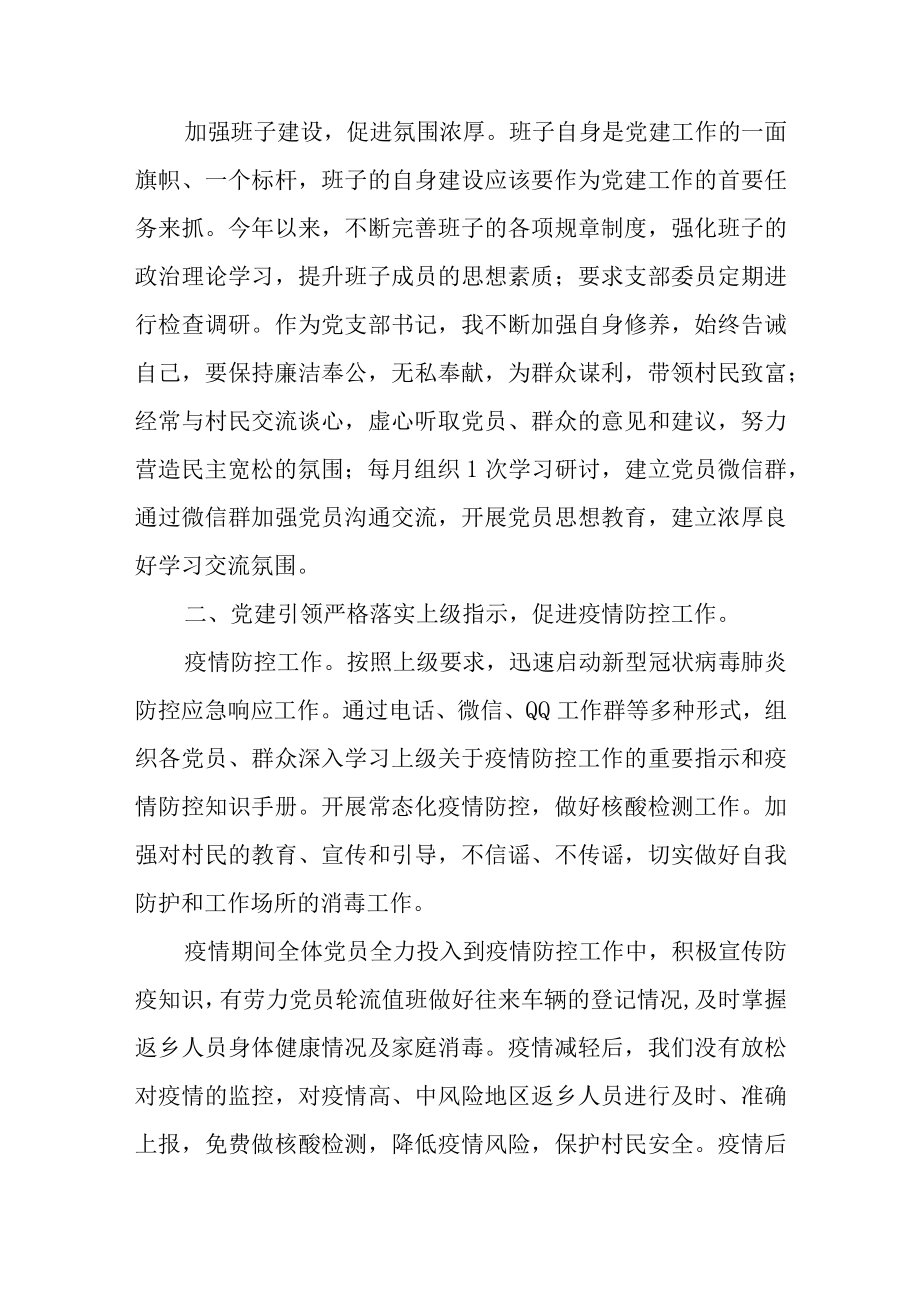 2022年度村党支部书记述职报告2篇.docx_第2页