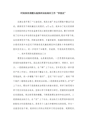 2022年党员干部“学查改”专项工作心得体会5篇.docx