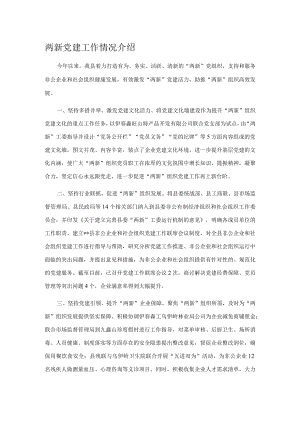 两新党建工作情况介绍.docx