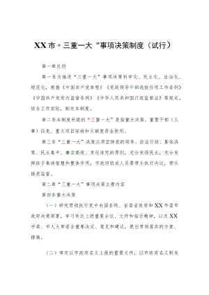 XX市“三重一大”事项决策制度（试行）.docx