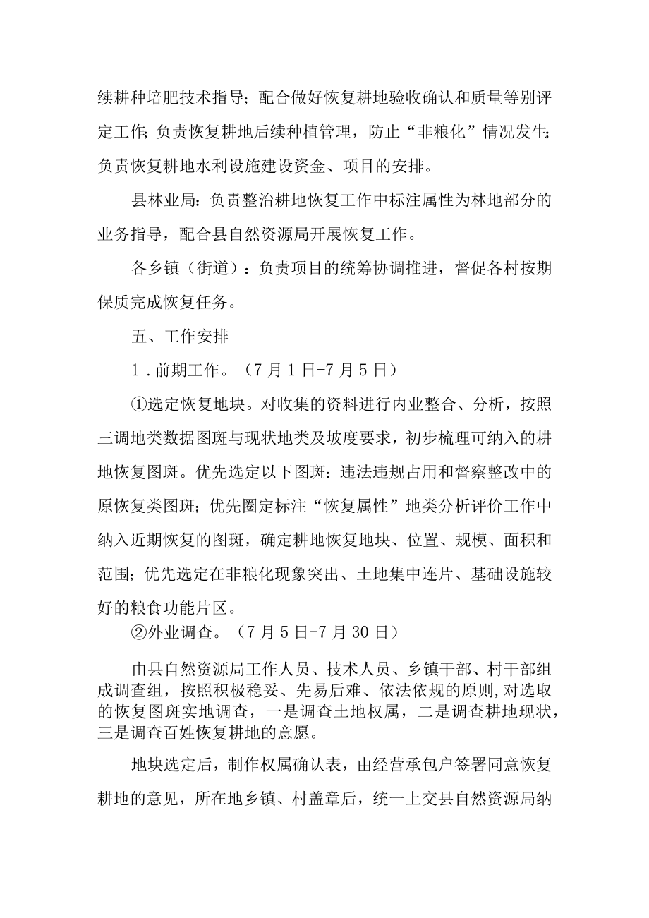 2022年度耕地恢复任务工作方案.docx_第3页