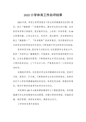 2022小学体育工作自评结果0001.docx