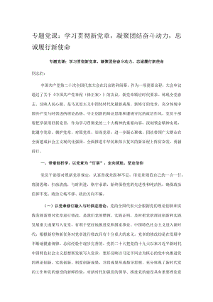 专题党课：学习贯彻新党章凝聚团结奋斗动力忠诚履行新使命.docx