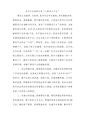 乡村振兴经验材料：补齐产业短板打造“小黄花大产业”.docx