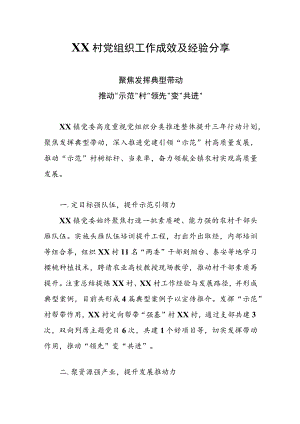 XX村党组织工作成效及经验分享.docx