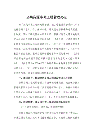 公共资源小微工程管理办法.docx