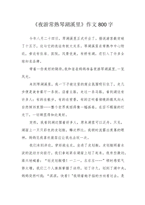 《夜游常熟琴湖溪里》作文800字.docx