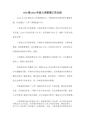 xxx镇20xx年度三资管理工作总结.docx