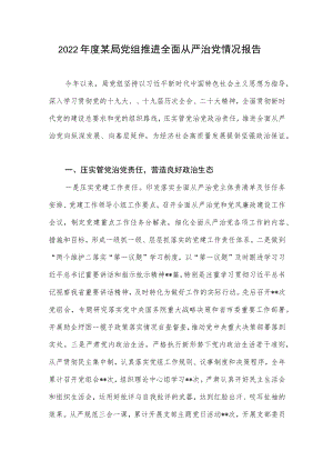 2022年度某局党组推进全面从严治党情况报告.docx