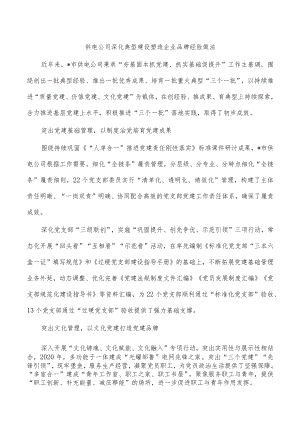 供电公司深化典型建设塑造企业品牌经验做法.docx