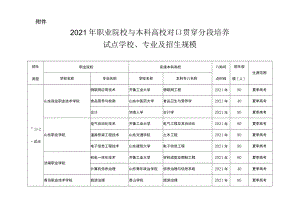 2020年职业院校与本科高校对口贯通分段培养试点学校专业及招生规模.docx