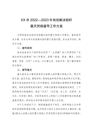 22022—2023年有效解决秸秆露天焚烧督导工作方案.docx