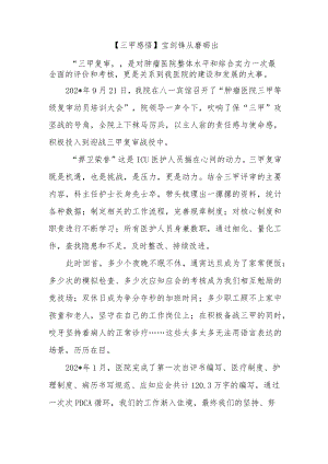 【三甲感悟】宝剑锋从磨砺出.docx