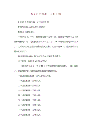 5个月的金毛一天吃几顿.docx