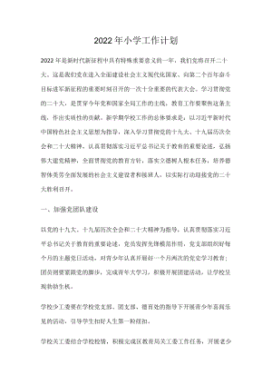 2022年小学工作计划.docx