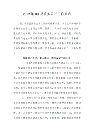2022年XX县政务公开工作要点0001.docx