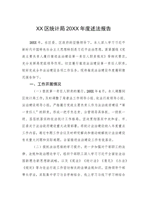 XX区统计局20XX年度述法报告（20220311）.docx