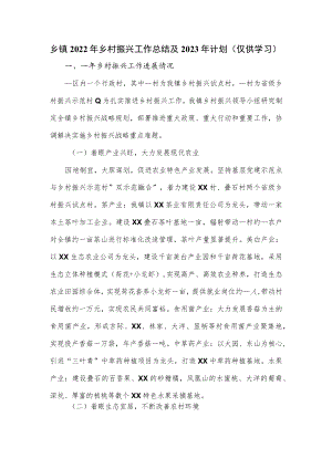 乡镇2022年乡村振兴工作总结及2023年计划.docx