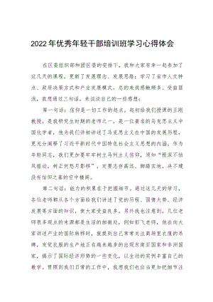 2022年优秀年轻干部培训班学习心得体会感悟九篇模板.docx