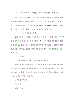2022年乡村（居）“两委”换届“回头看” 工作方案.docx
