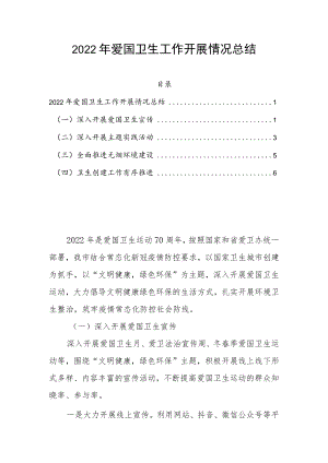 2022年爱国卫生工作开展情况总结.docx