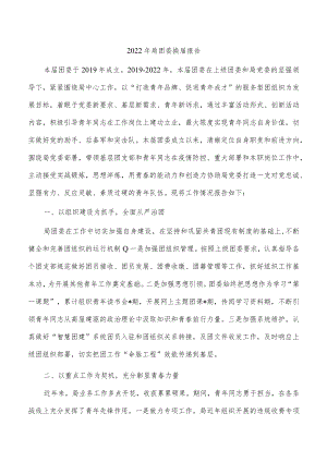 2022年局团委换届报告.docx