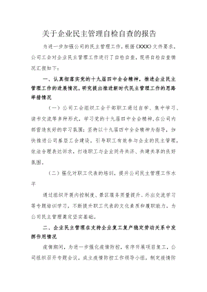企业民主管理自检自查的报告.docx