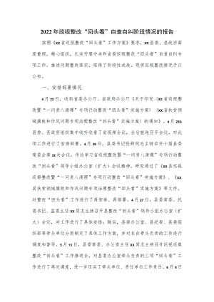 2022年巡视整改“回头看”自查自纠阶段情况的报告.docx