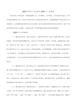 2022年意识工作总结及2023年工作安排.docx