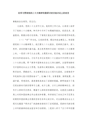 2023年在学习贯彻党的重要会议精神专题研讨班分组讨论上的发言.docx