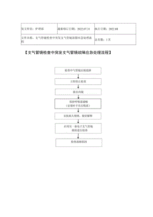 2022年9月《支气管镜检查中突发支气管镜故障应急处理流程》.docx