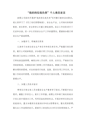 “我的岗位我负责”个人表态发言.docx