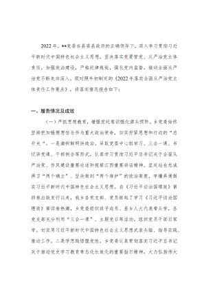 2022年度乡镇党委履行全面从严治党主体责任情况报告.docx