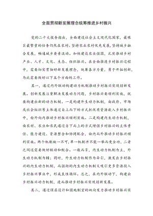 乡村振兴经验材料---全面贯彻新发展理念 统筹推进乡村振兴.docx