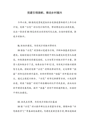 乡村振兴经验材料---党建引领旗帜推动乡村振兴.docx