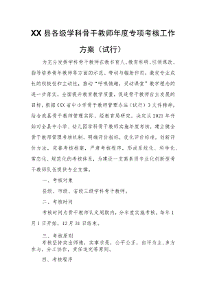 XX县各级学科骨干教师年度专项考核工作方案.docx