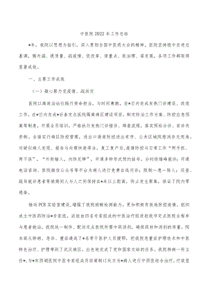 中医院2022年工作总结.docx