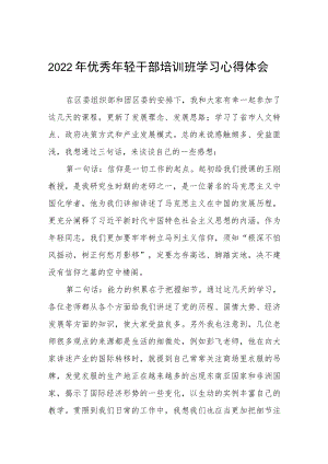2022年优秀年轻干部培训班学习心得体会五篇例文.docx