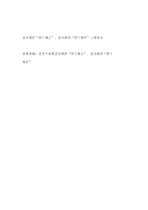 党员干部坚定拥护“两个确立”、坚决做到“两个维护”党课讲稿心得体会.docx
