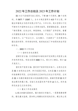 2022年工作总结及2023年工作计划(20221027).docx