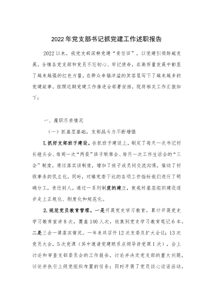 2022年党支部书记抓党建工作述职报告.docx