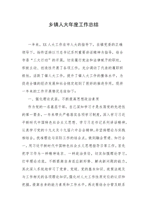 乡镇人大年度工作总结.docx