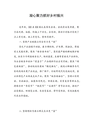 乡村振兴经验材料：凝心聚力抓好乡村振兴.docx