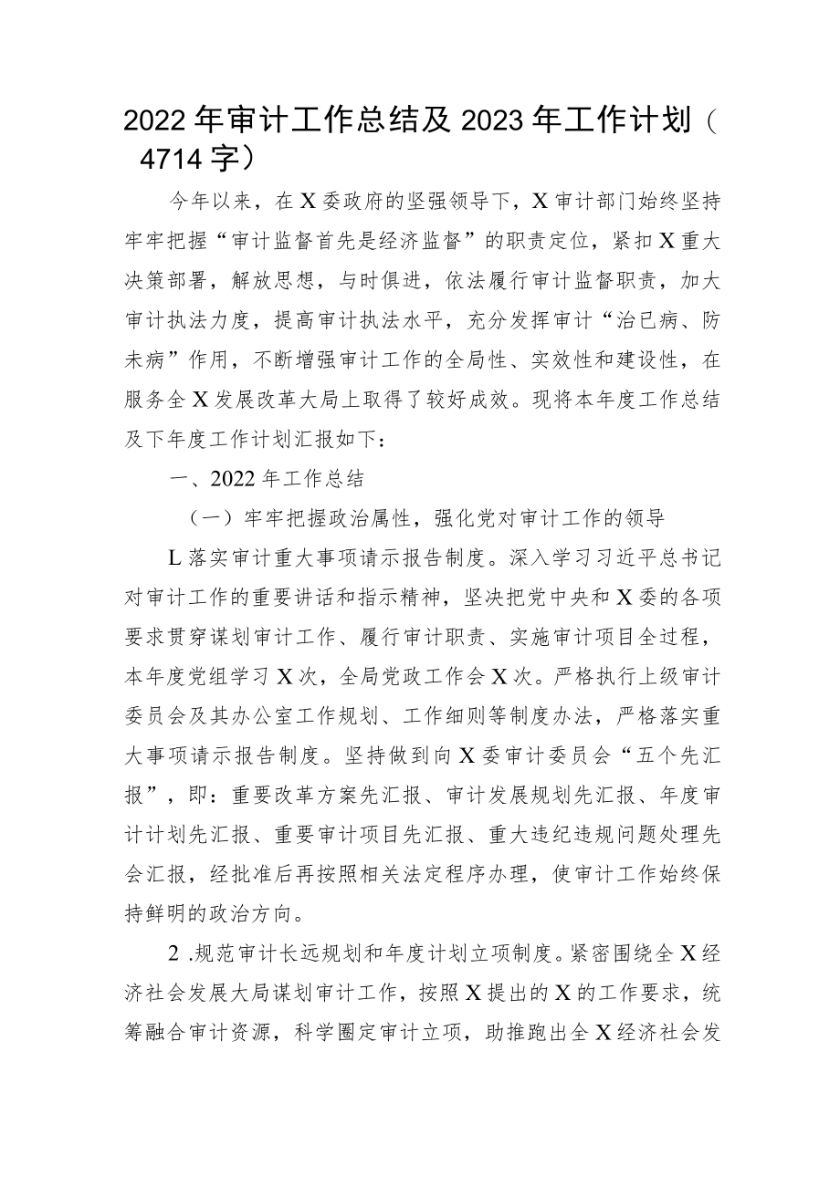 2022年审计工作总结及2023年工作计划.docx_第1页