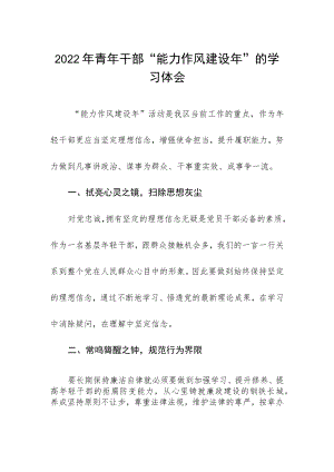 2022年青年干部“能力作风建设年”的学习体会.docx