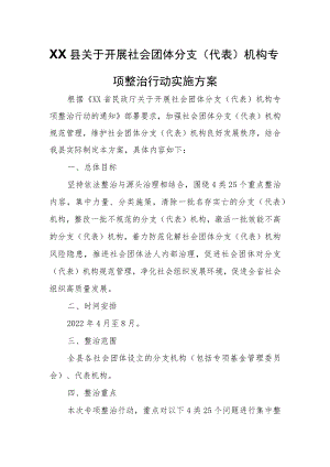 XX县关于开展社会团体分支(代表)机构专项整治行动实施方案.docx